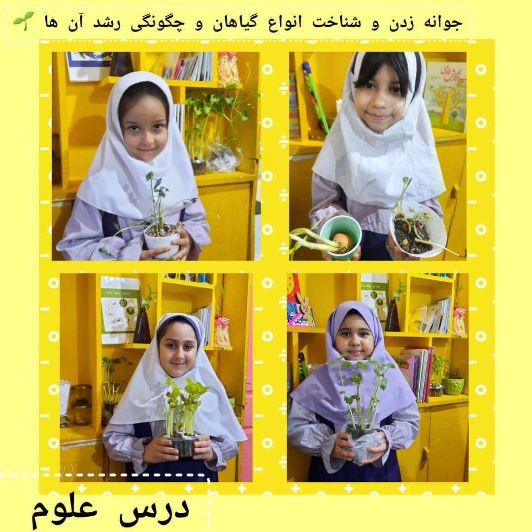 تصویر مقاله